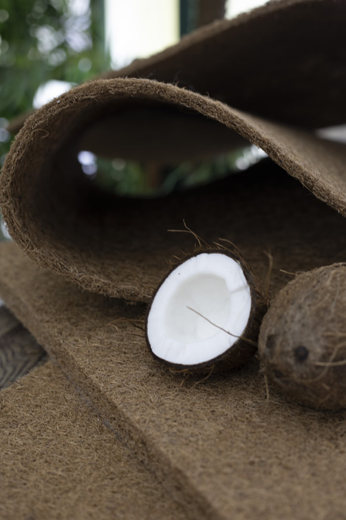 Детский матрас Dreamline Baby Dream TFK 60х120х12